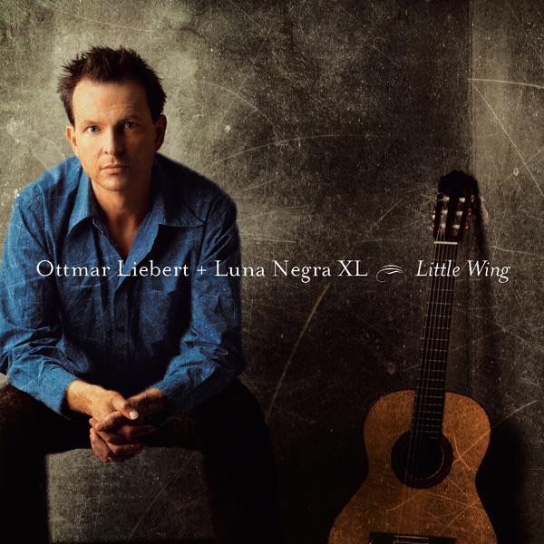 Ottmar Liebert - Little Wing